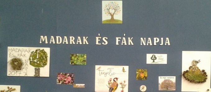 20170609 madfak napja